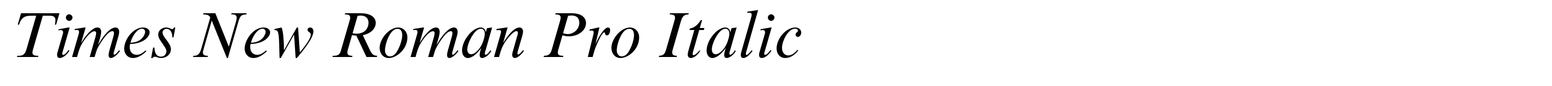 Times New Roman Pro Italic